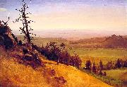 Newbraska Wasatch Mountains Albert Bierstadt